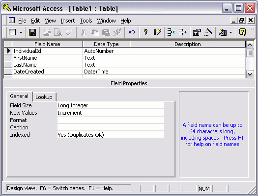 Database table - design view