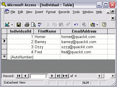 Microsoft Access database table
