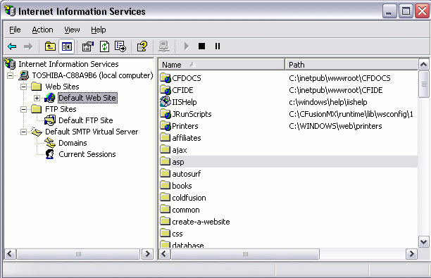 IIS web server