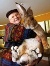 Photo of a big bunny rabbit!