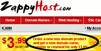 Selecting cheap domain name deal
