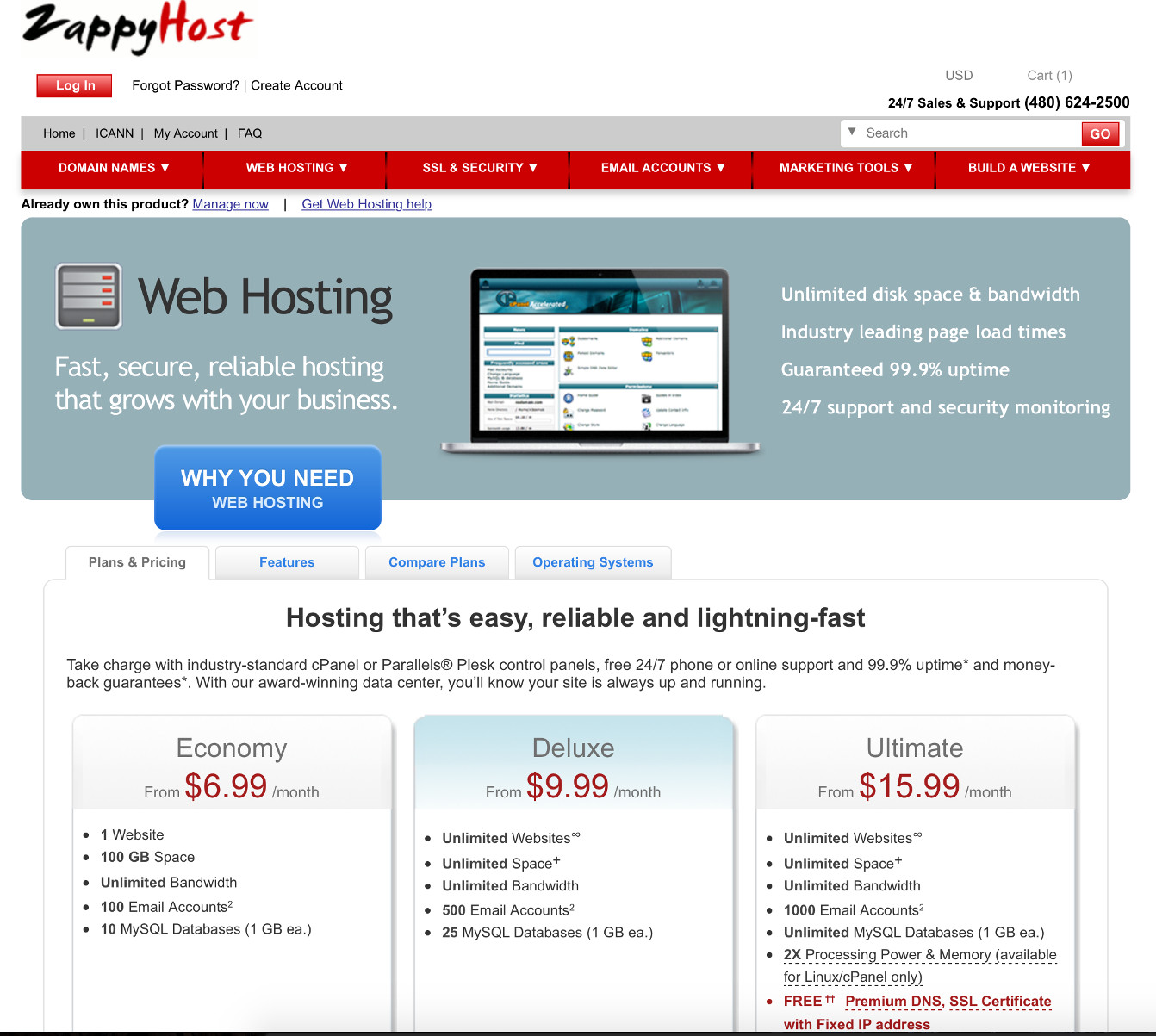 Screenshot of the ZappyHost hosting page