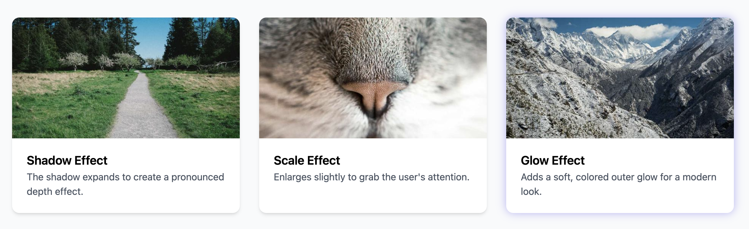 Screenshot of a card that lifts up on hover.