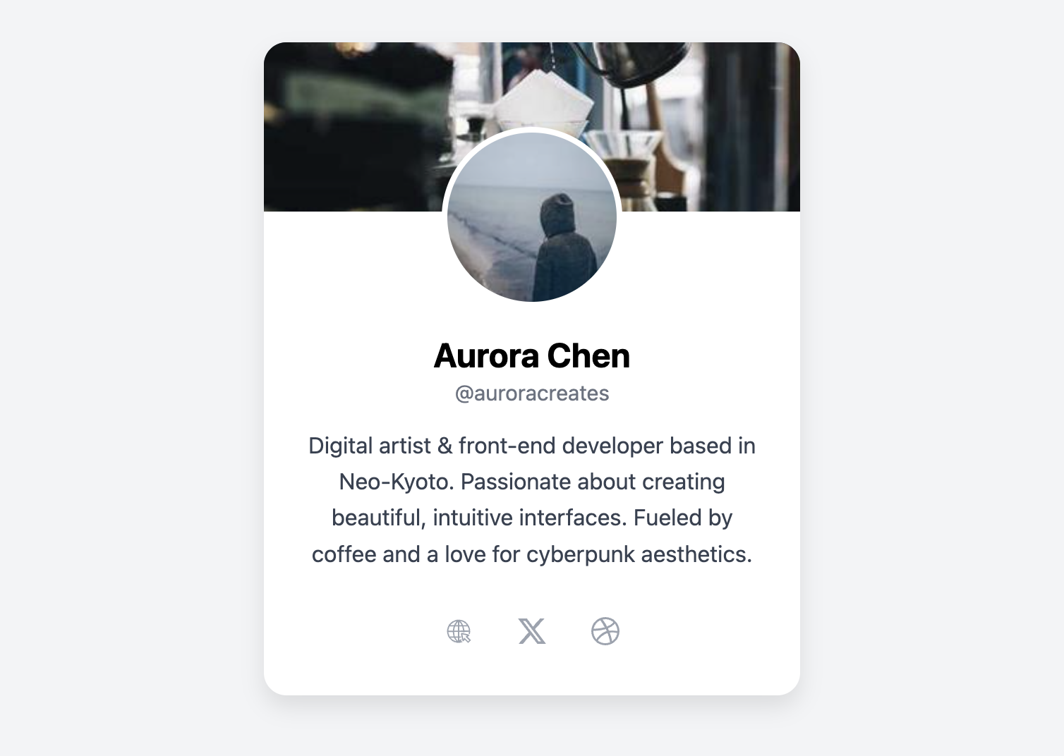 Screenshot of a User Bio Card with social media link icons.