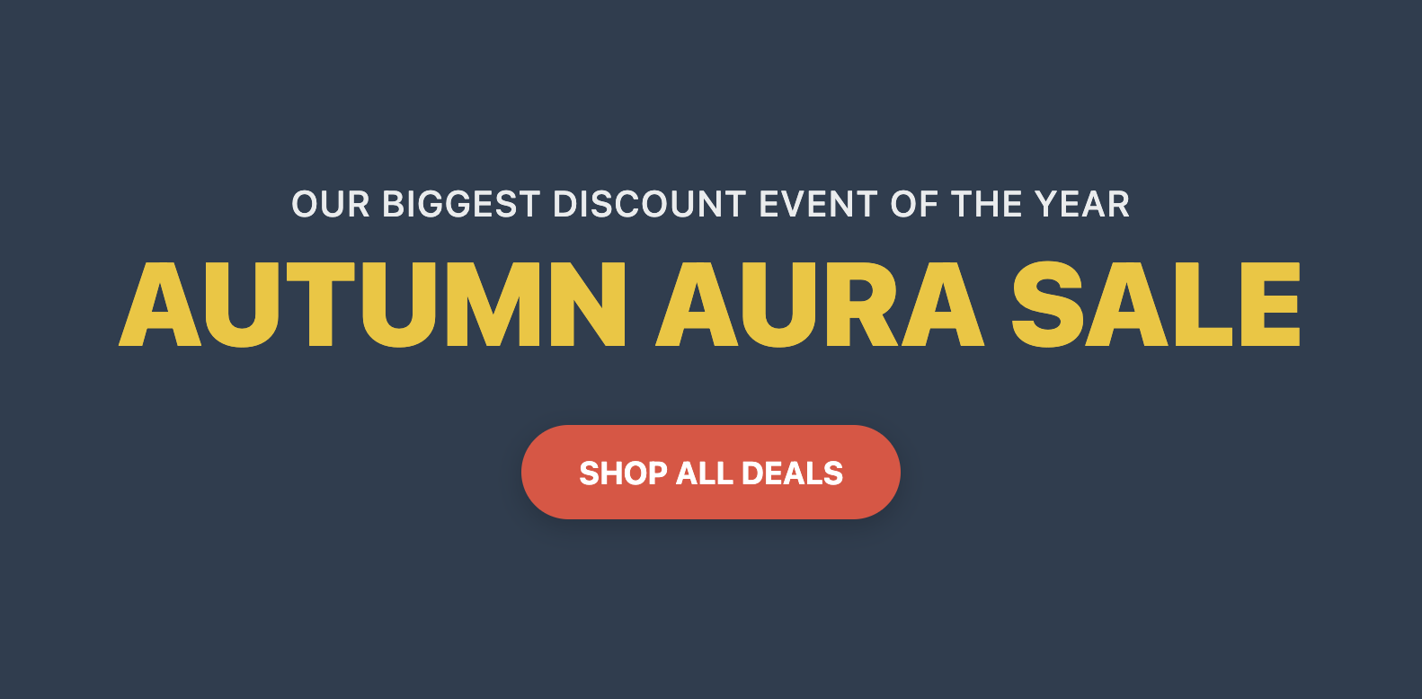 Screenshot of a seasonal sale hero section with a bold banner advertising a discount.