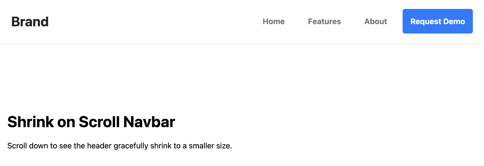 Screenshot of shrink on scroll sticky navbar template