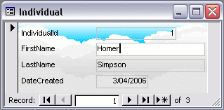 MS Access 2003: Adding data using a form