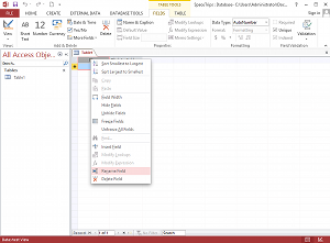 Screenshot of Microsoft Access 2013