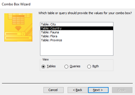 Screenshot of the Combo Box Wizard