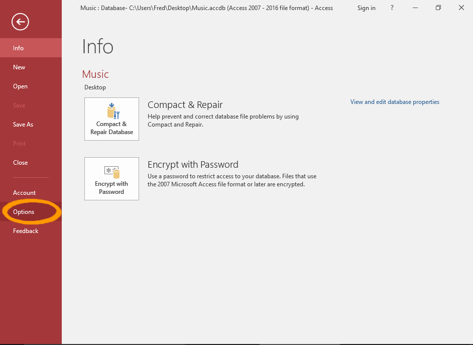 Screenshot of Access with the Options menu highlighted