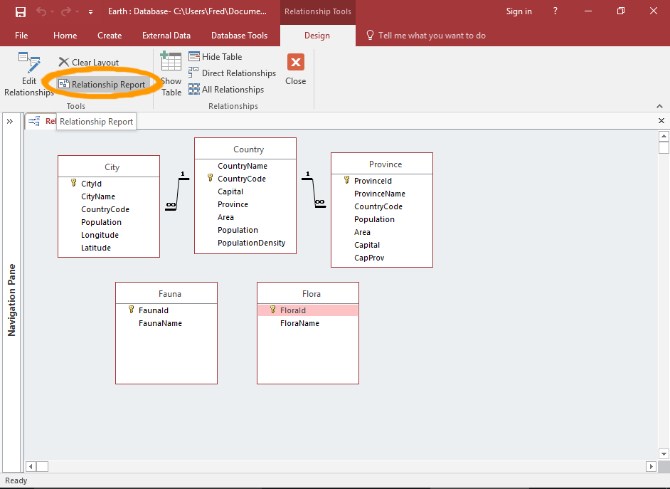 Screenshot of the Relationship Report button highlighted.