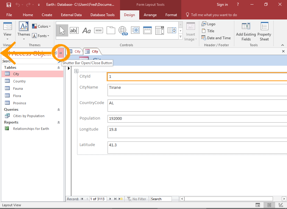 Screenshot of the form