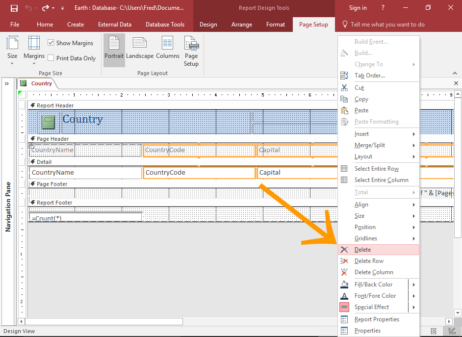 Screenshot of the report with fields selected