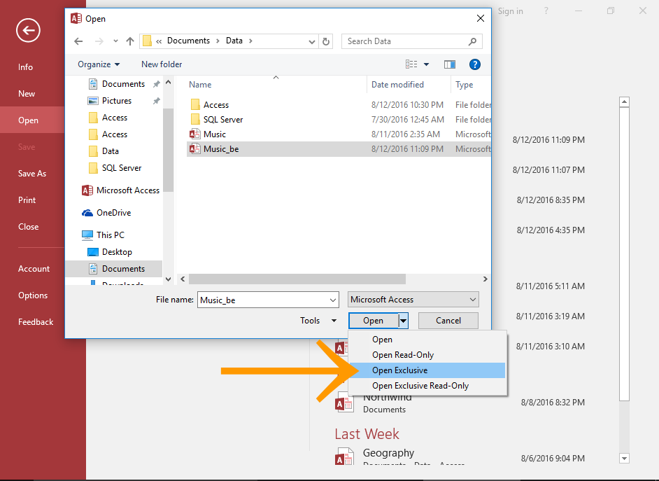 Screenshot of opening the database in Exclusive Mode