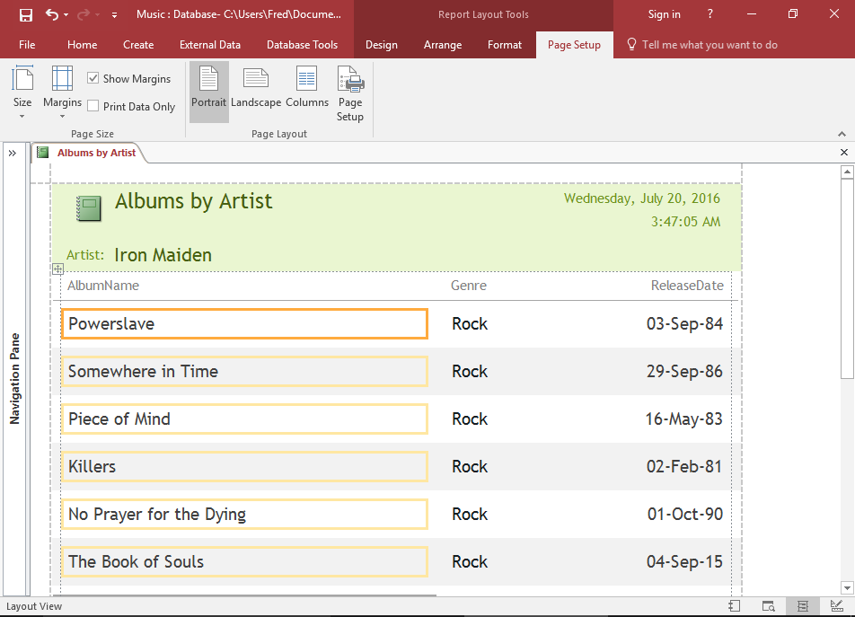 Screenshot of a Report in Layout View.