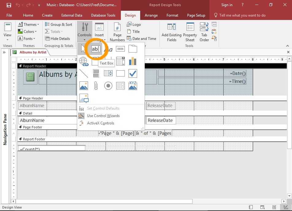 Screenshot of the Report in Design View.