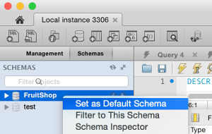 Screenshot of setting the default database via the MySQL Workbench GUI