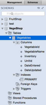 Screenshot of SCHEMAS tab with our new database table