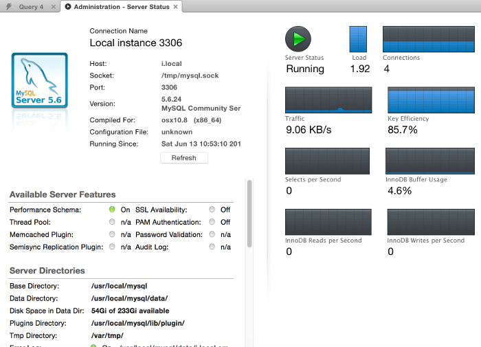 Screenshot of the Server Status screen using the MySQL Workbench GUI
