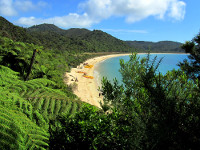 Photo of Onetahuti Beach in NZ