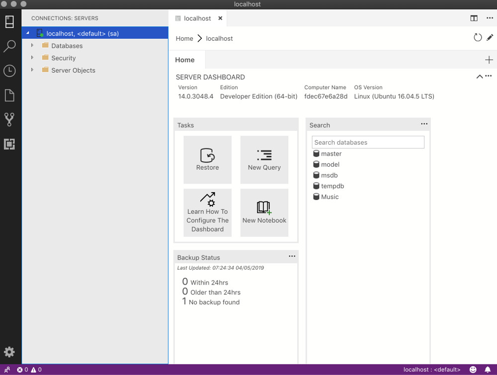 Screenshot of the Azure Data Studio server dashboard