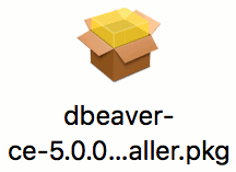 DBeaver installer icon