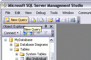 Screenshot of the New Query button