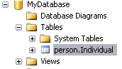 Screenshot of the table in Object Browser