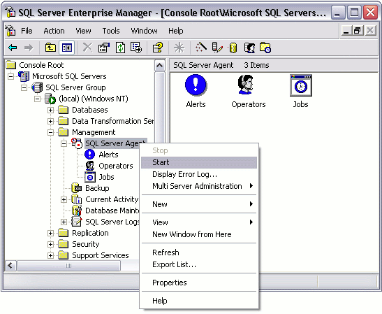 Starting the SQL Server Agent Service via Enterprise Manager